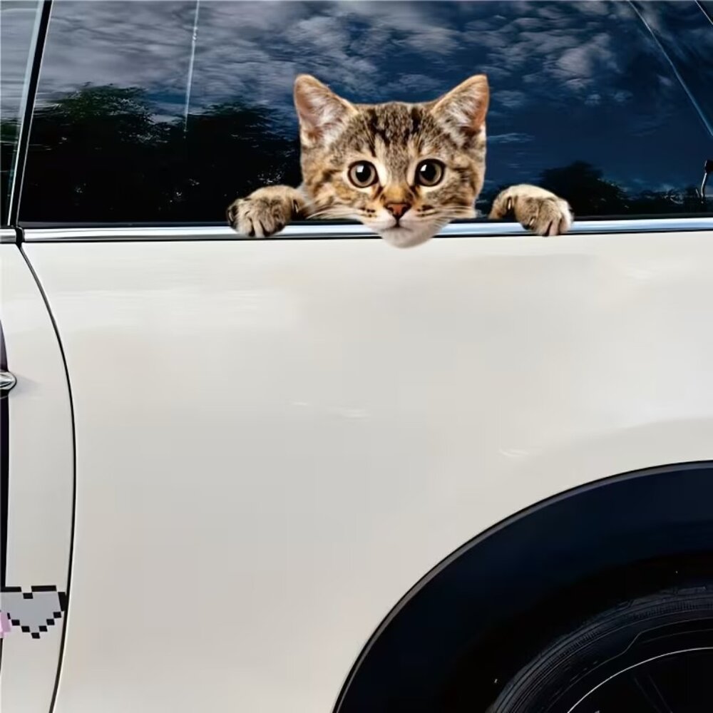 “Kitty Cat Peeking‎ Over” Bumper / Window Sticker BRAND NEW & SO CUTE!